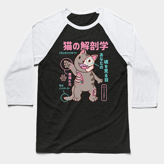 Japanese X-Ray Cat Anatomy Baseball T-Shirt by Hmus